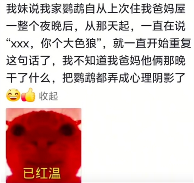 鹦鹉能说出多少不可告人的秘密？网友分享让人瞠目结舌，太炸裂了