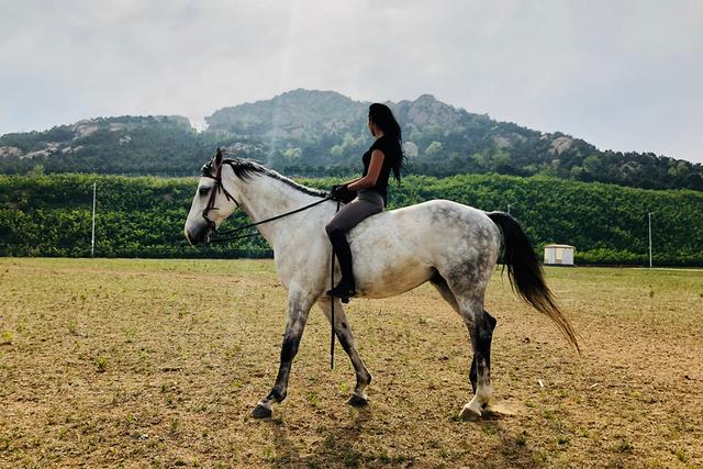 那尔那茜之后，上戏表演专业仅招3届内蒙古委培生，分数都高于179