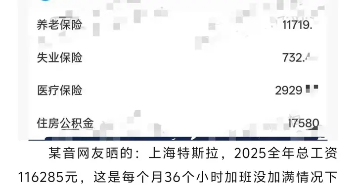 特斯拉某员工，2025年薪资收入!