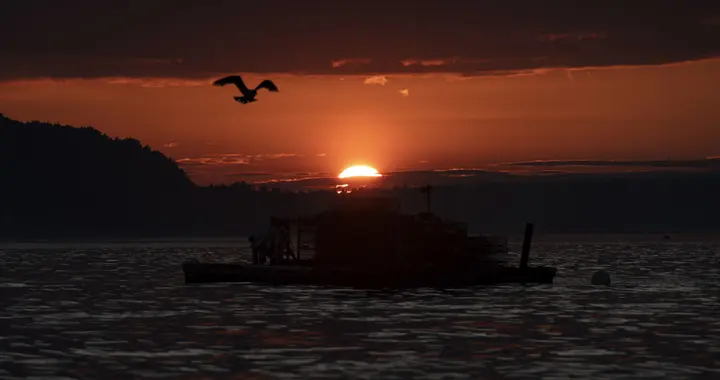 缅因州看巴港日落