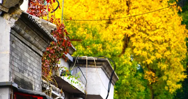 2025年10月24日 十二生肖 今日运势