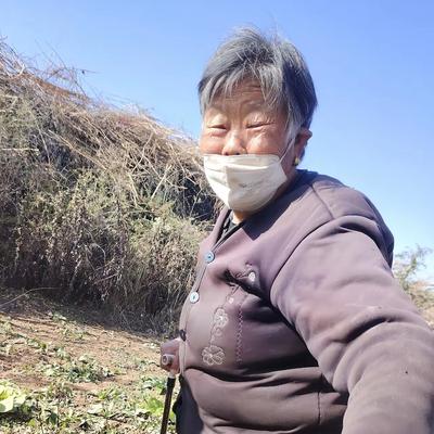 兰姐：87岁的老奶奶在外面摔倒站不起来