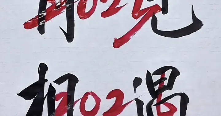 马上要过年了，从北京回石家庄工作后，我年底的一个小结！