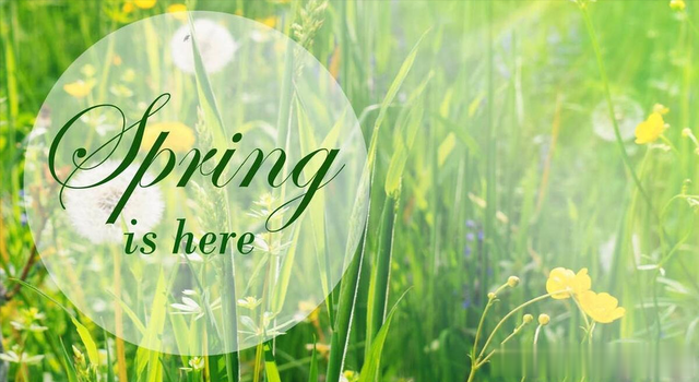 肝血不足老的快，春养肝正当时，用好三个养肝药，自己就是老中医