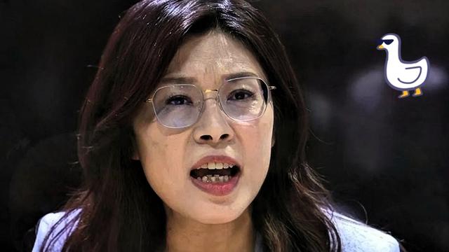 小溪看天下：郑丽文前脚刚走，大陆这边就推