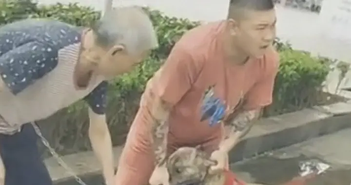 养狗人的暗黑心理“素质崩塌”，当私人癖好演变为公共灾难