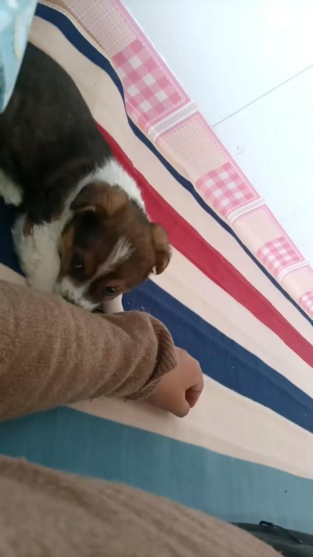 悟空大闹网红圈