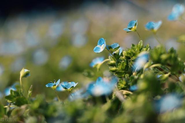 巨蟹座：我独自一人却很自在，别无所求，只想沐浴在阳光之下