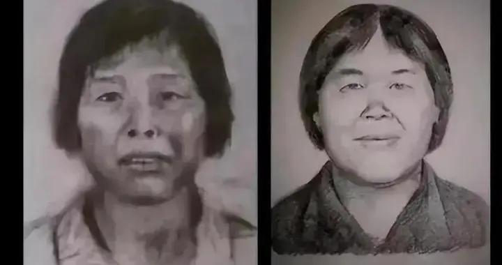 等了15年！“梅姨”谢某某落网后她全招了，网友：死刑不足以抵罪