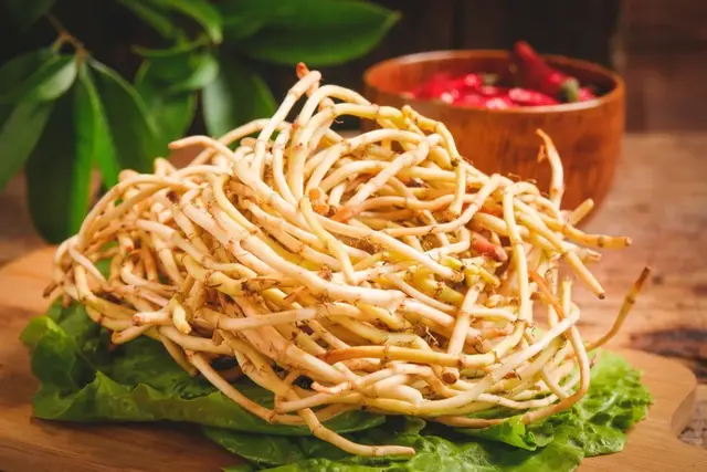 从田野到药箱，小野草的止咳传奇