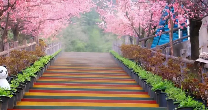 一路向南，这里才是西安Color walk的天花板！