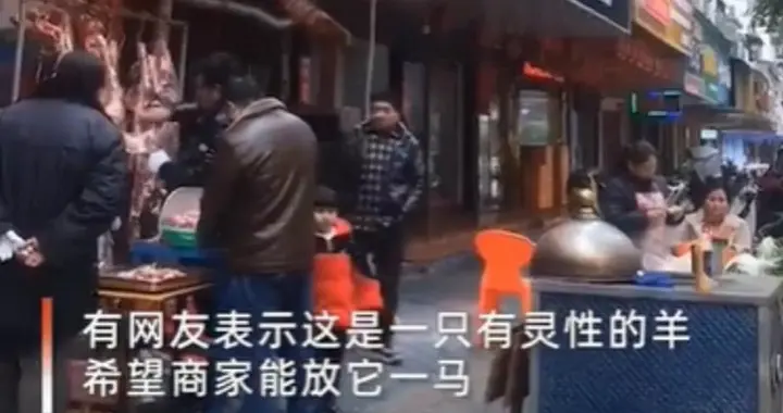 新疆“富贵小羊”爆火出圈！19岁摊主日睡3小时，成文旅新名片