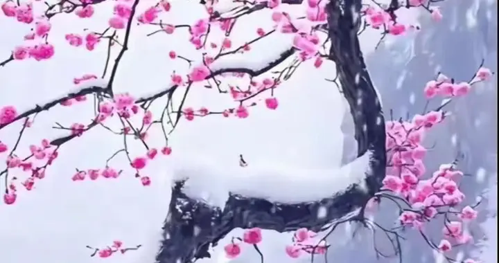 纸上江南墨未干，诗中塞北雪犹寒