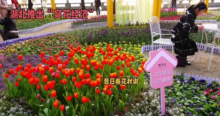 湖北赏花季，花海盛宴等你来！