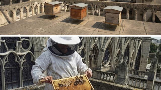 梁鸿瑞：这确实是一件发生在 2019 年