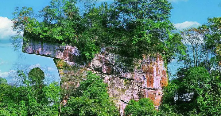 草生芒种后 叶落立秋前——寒山芒种诗赏析
