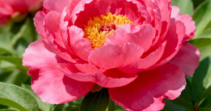 高清头像图片（五）