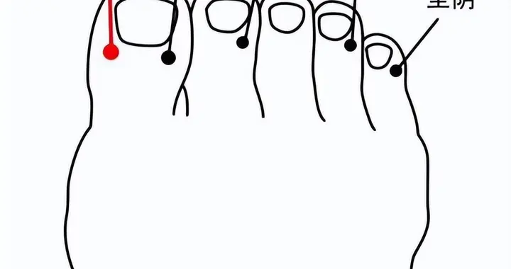 足部穴位解剖标志名称