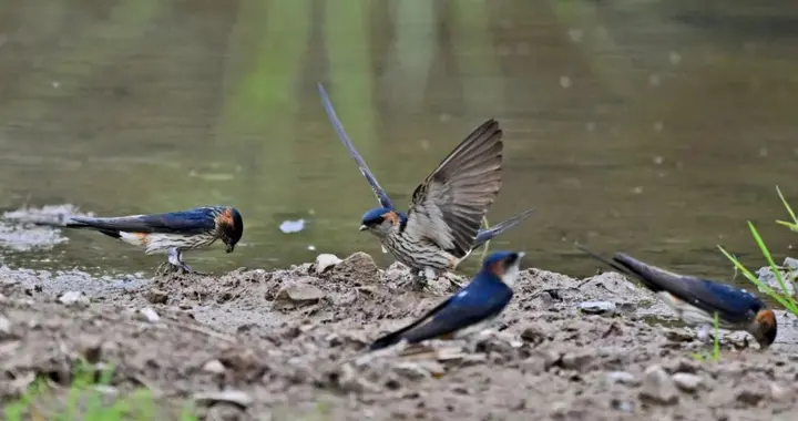 秋季养生：唇干、口干如何调养？