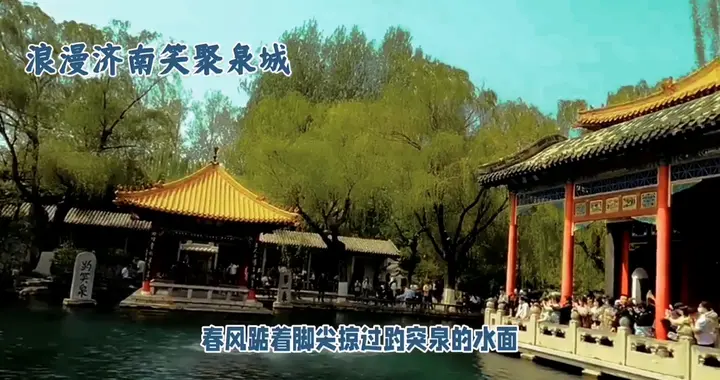 浪漫济南，笑聚泉城，大明湖畔，玉兰如雪映古楼