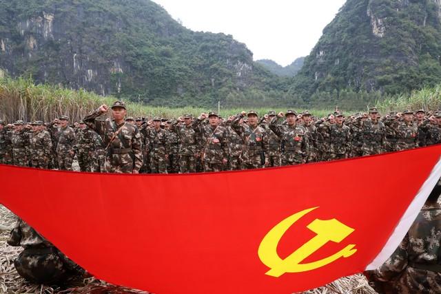 抗美援朝战争运动战阶段，志愿军如何加强党委对作战的领导