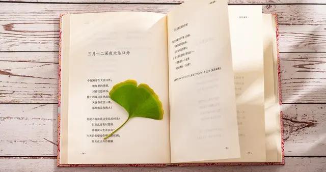 我把想念写成了诗，诗里全是你