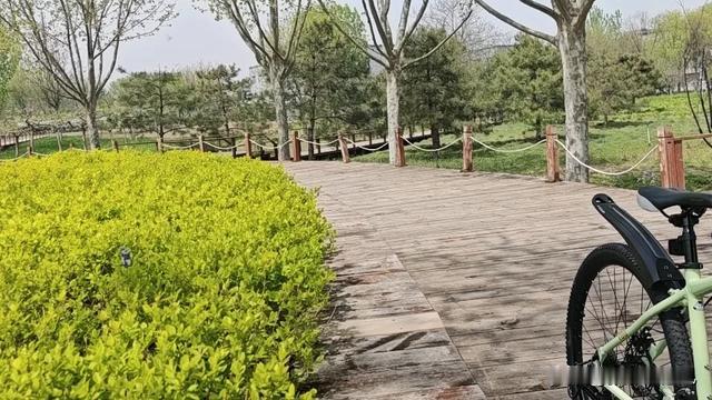 张家口随风：镇里让各村填写每个季度矛盾纠