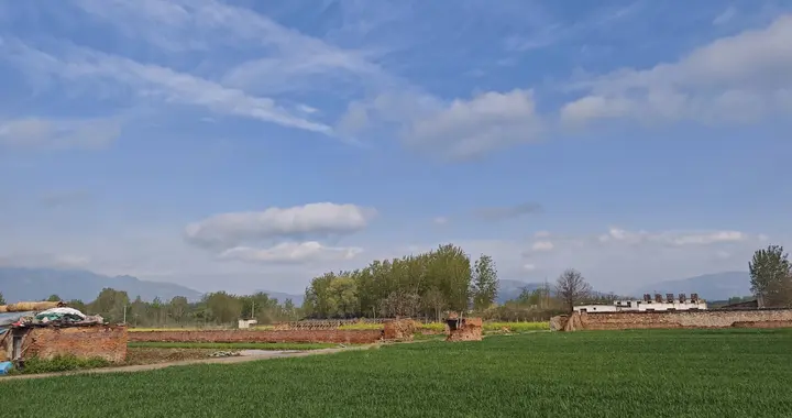 城市待久了，就稀罕老家这满眼的青绿与宁静