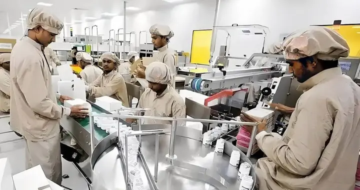 德媒：德企就快被逼疯了，就算不能去中国，宁可去印度也不回德国