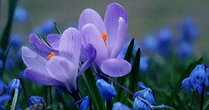 真正讨厌你，不爱了的女人，往往会有的行为