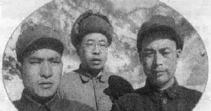 75年李水清想回部队求杨得志帮忙，李先念无奈答应，这是什么原因