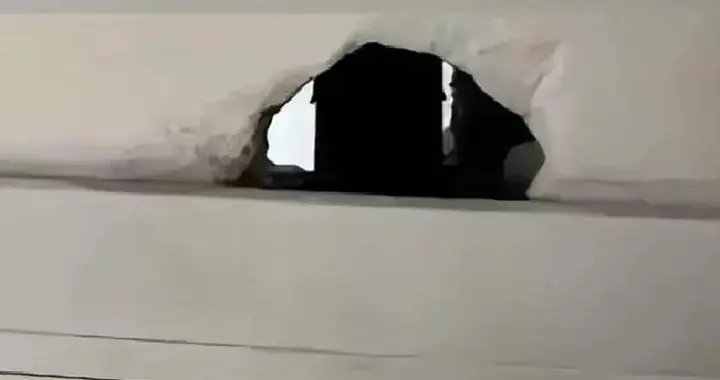 墙里钻了个洞，女邻居盯了半年，熟人突然变陌生！