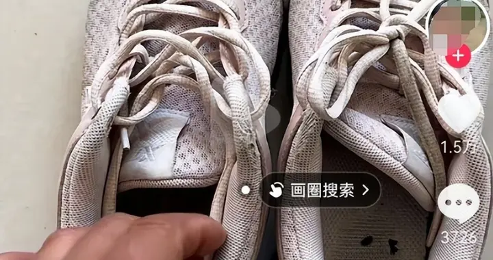 爱从来不在价格