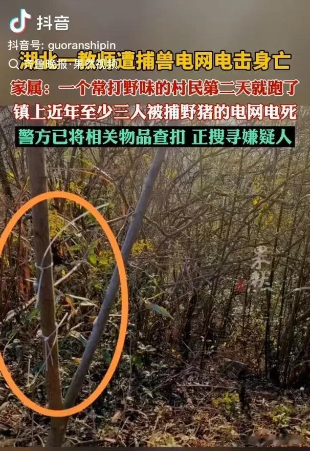 痛心！湖北一教师因捕兽电网身亡，警方介入，正搜寻嫌疑人！