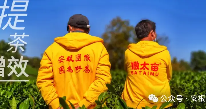 2026一号文件深度解读