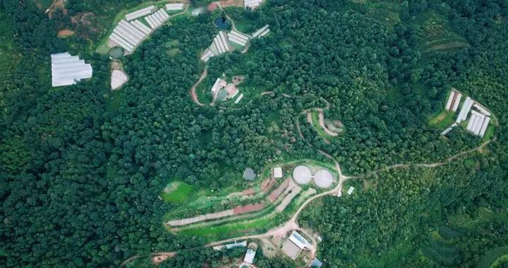 农业为基、汽车与文旅双驱，良道·蔬蜜院新春蔬享会圆满举办