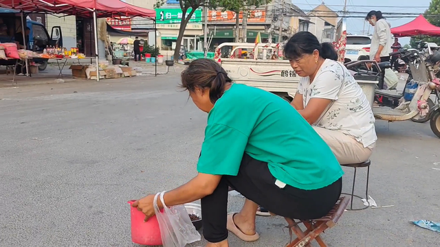 山东曹县，野生金蝉马上没有了，看看收一千多个能赚多少钱