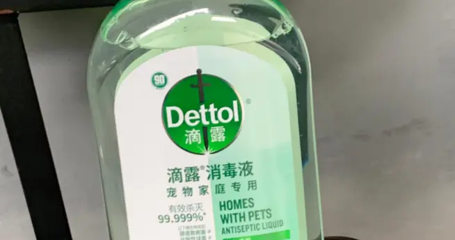 滴露宠物以专业消毒打造人宠共居健康新标准，持续深耕宠物赛道