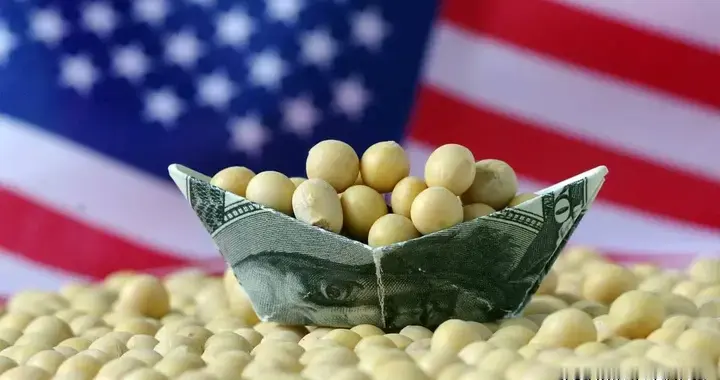 美国倒贴钱向中国低价出口大量农产品，背后目的可没那么简单。