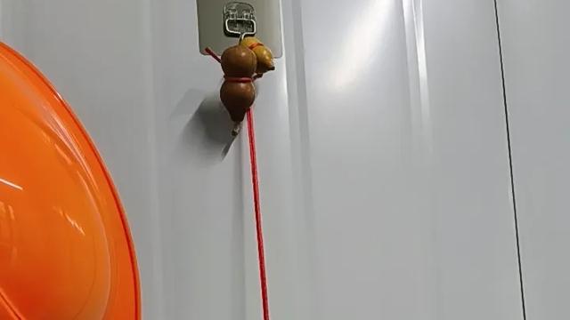 kuige666：别总羡慕他人，你同样可