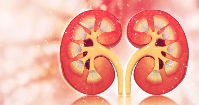 怎么判断泡沫尿是病理性的？