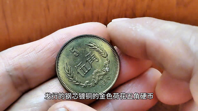 比梅花五角更值钱的五角硬币你有吗？