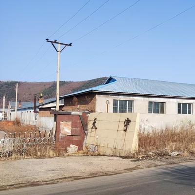 素老山：都是荷尔蒙