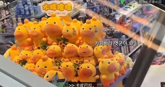 韩国女团明星第一次来长春！偶遇神秘“币圈人”，还是海底...