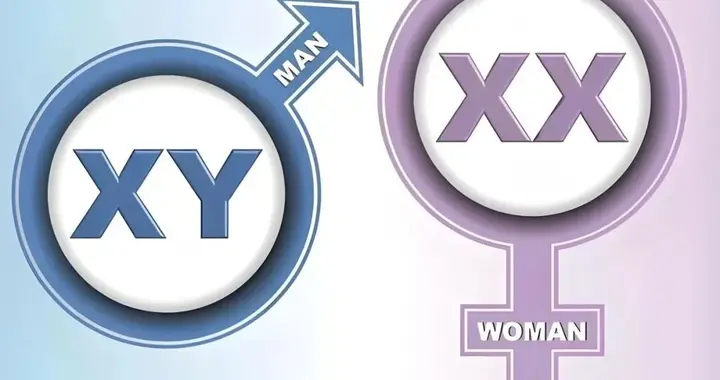 为什么有人总生男孩，有人总生女孩？是家族魔咒？顶刊有了新答案