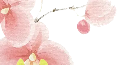 团聚仲夏·遇见未来｜2026阜阳青年联谊活动圆满举行