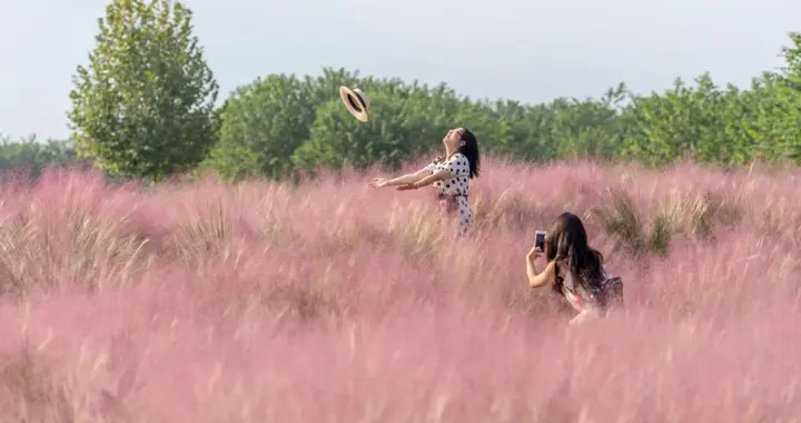 成都10个周末一日游宝地，没有门票~徒步露营溜娃都巴适！