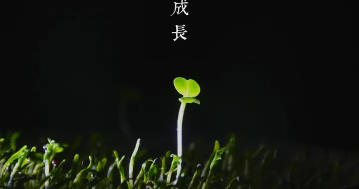 全国I卷作文精准审题指导及范文： 从驿站里，读懂流动的中国