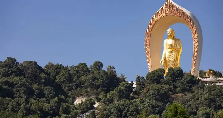 随拍东林 净苑之秋