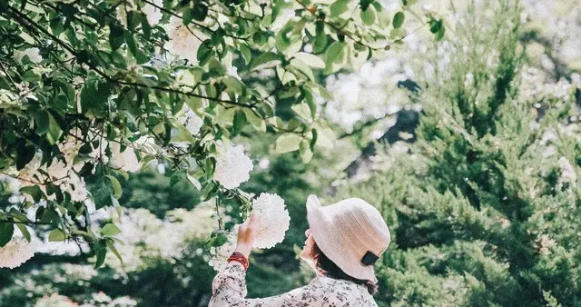 人这辈子，最难舍竟是这二字，你有吗？